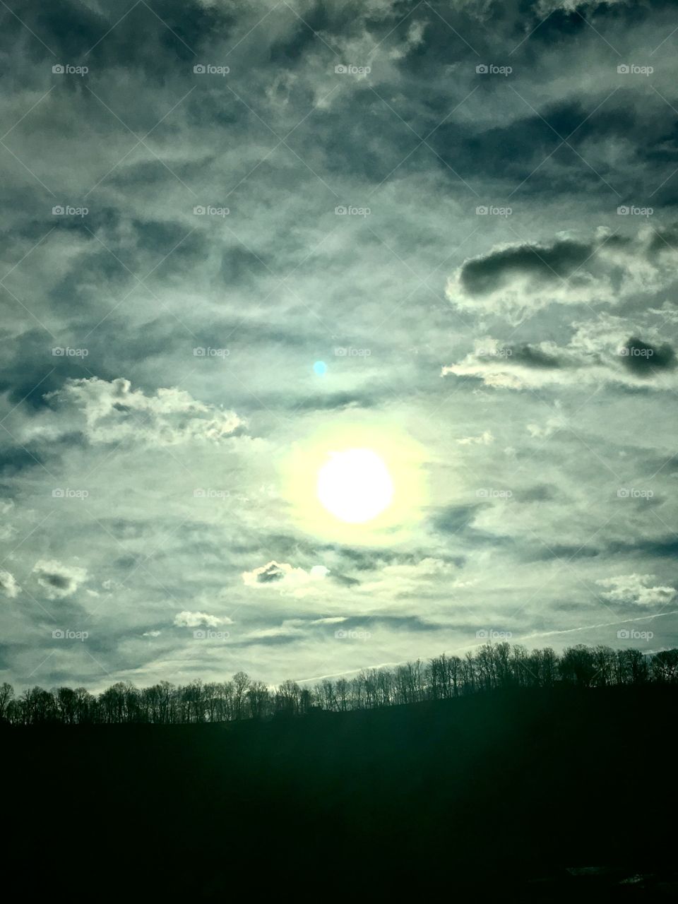 Sunlight Over the Tree Line