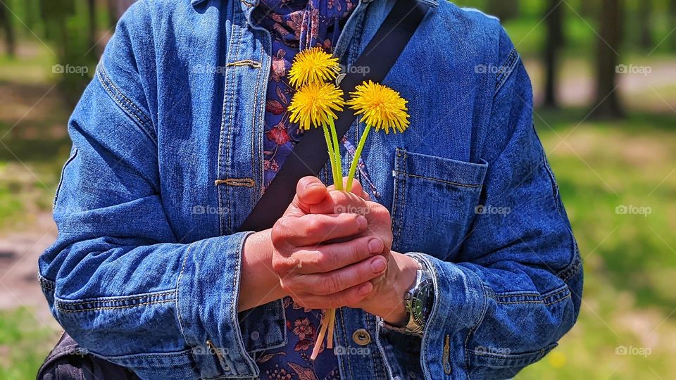 flowers