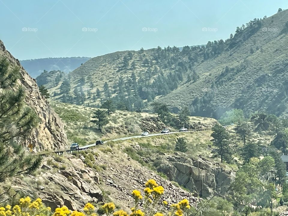 Mountains and Wildflowers