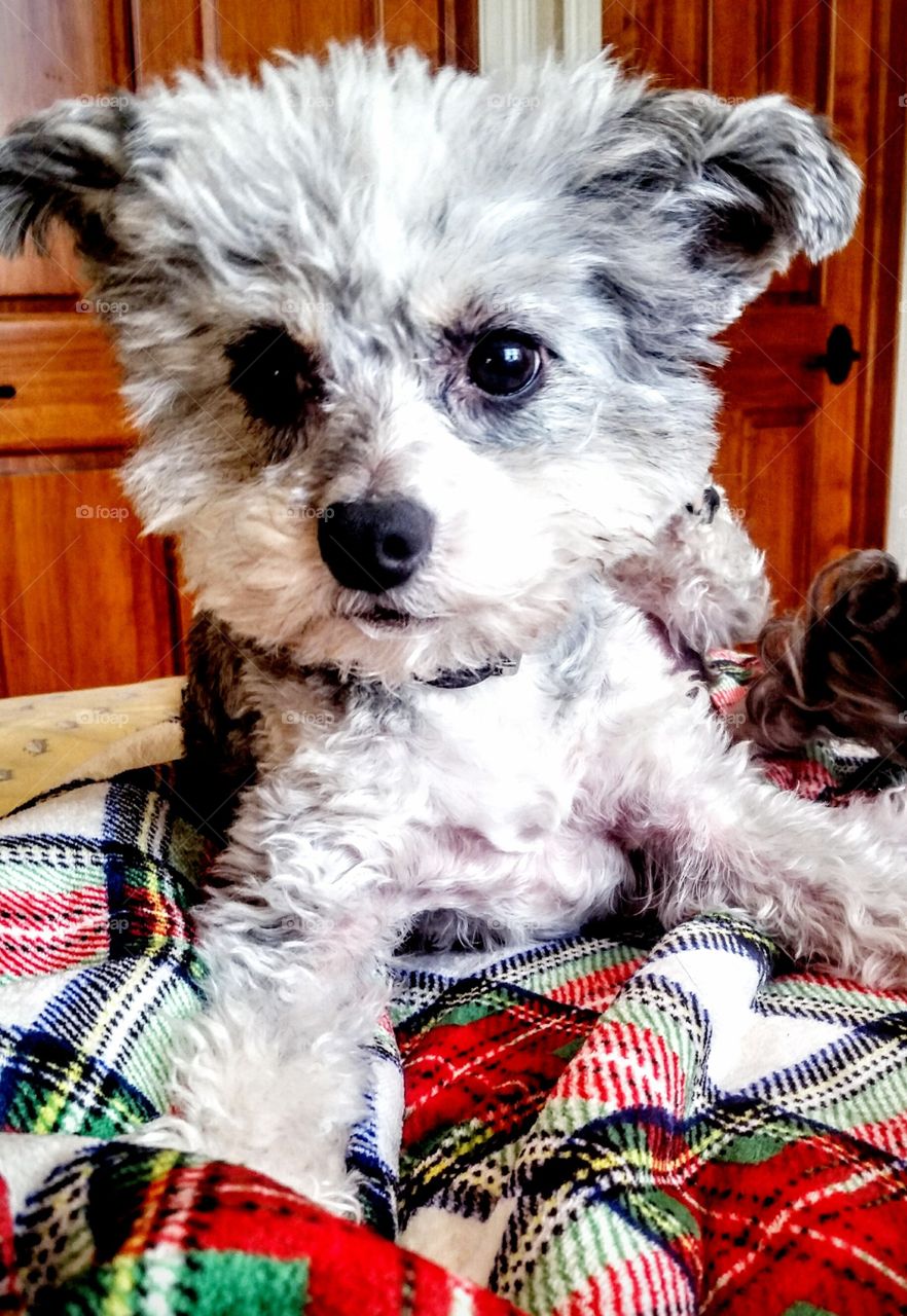 parental advosory: hot little kisses are usually included in all face to face contact