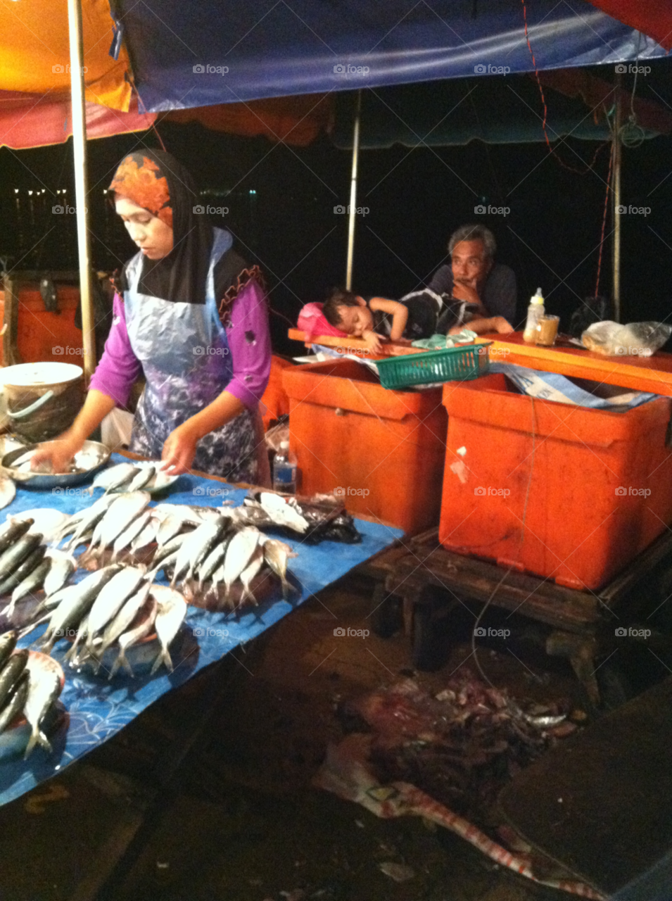 travel fish asia market by spiffysavannah