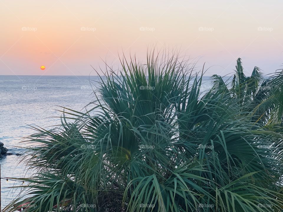 Caribbean Sunset