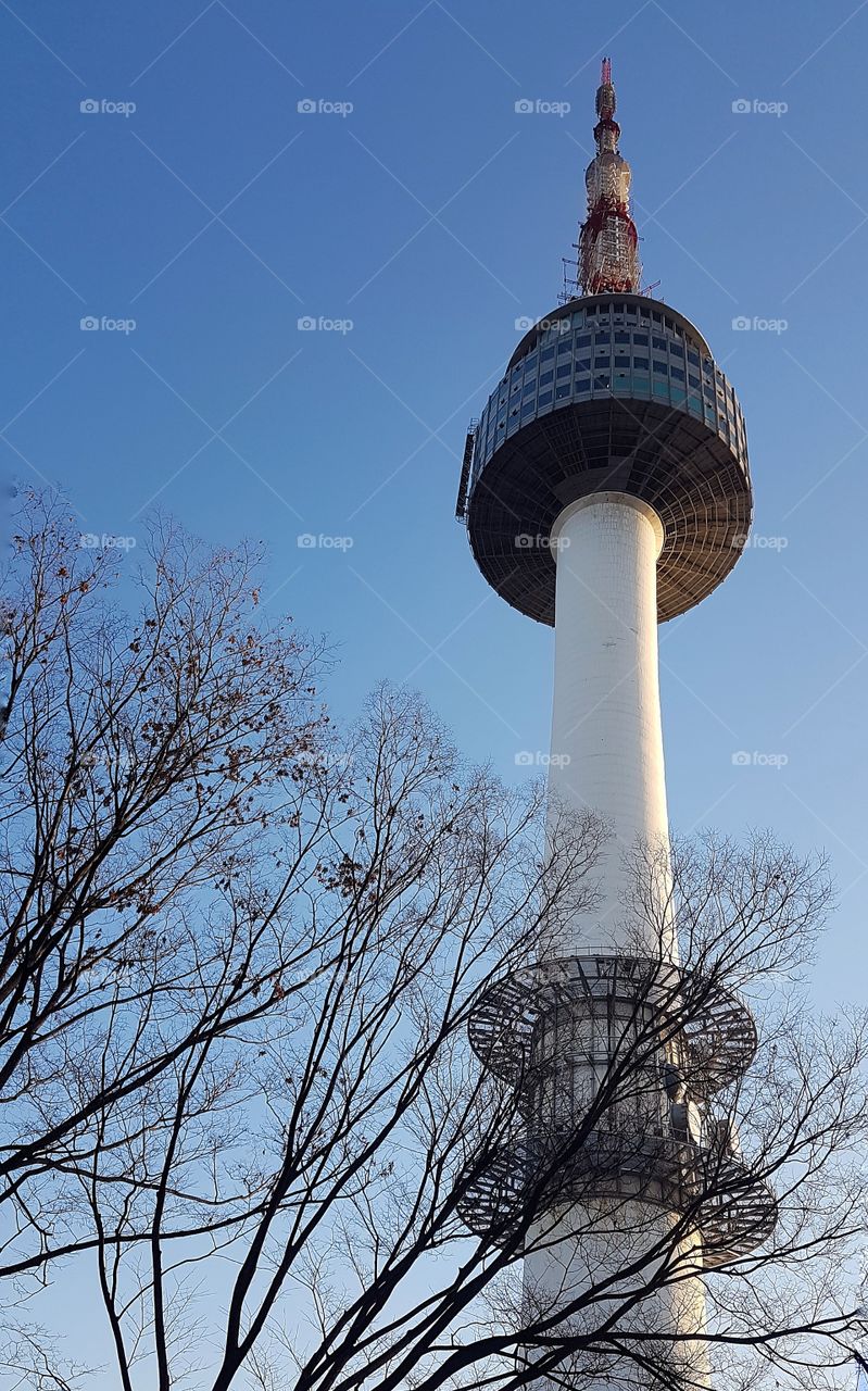 N seoul tower during autumn