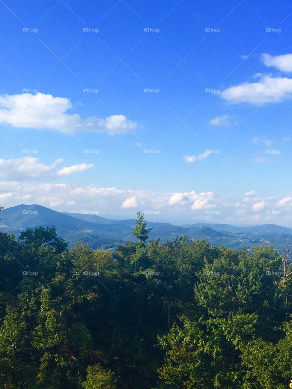 North Carolina mountains 