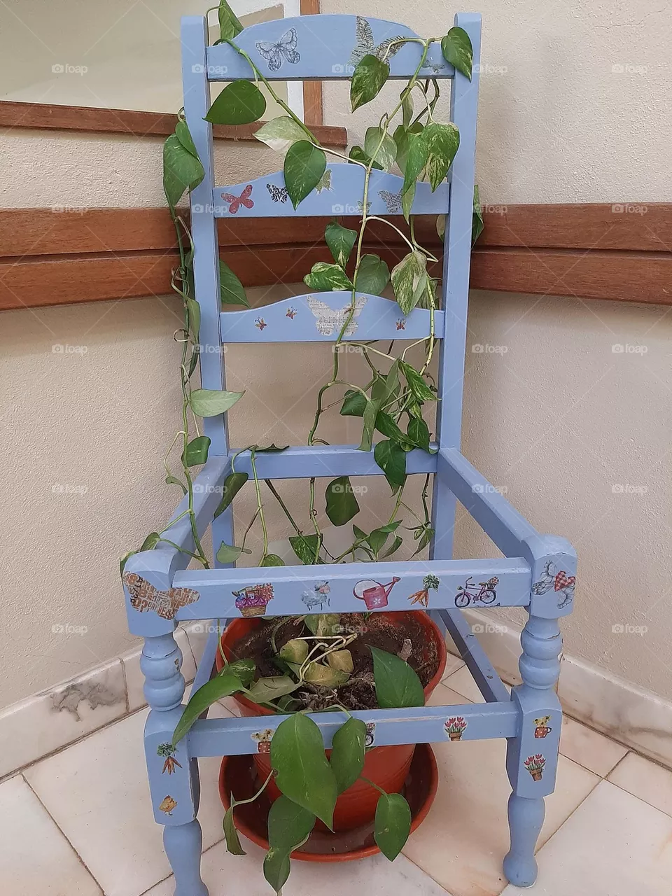 Chair Plant Installation