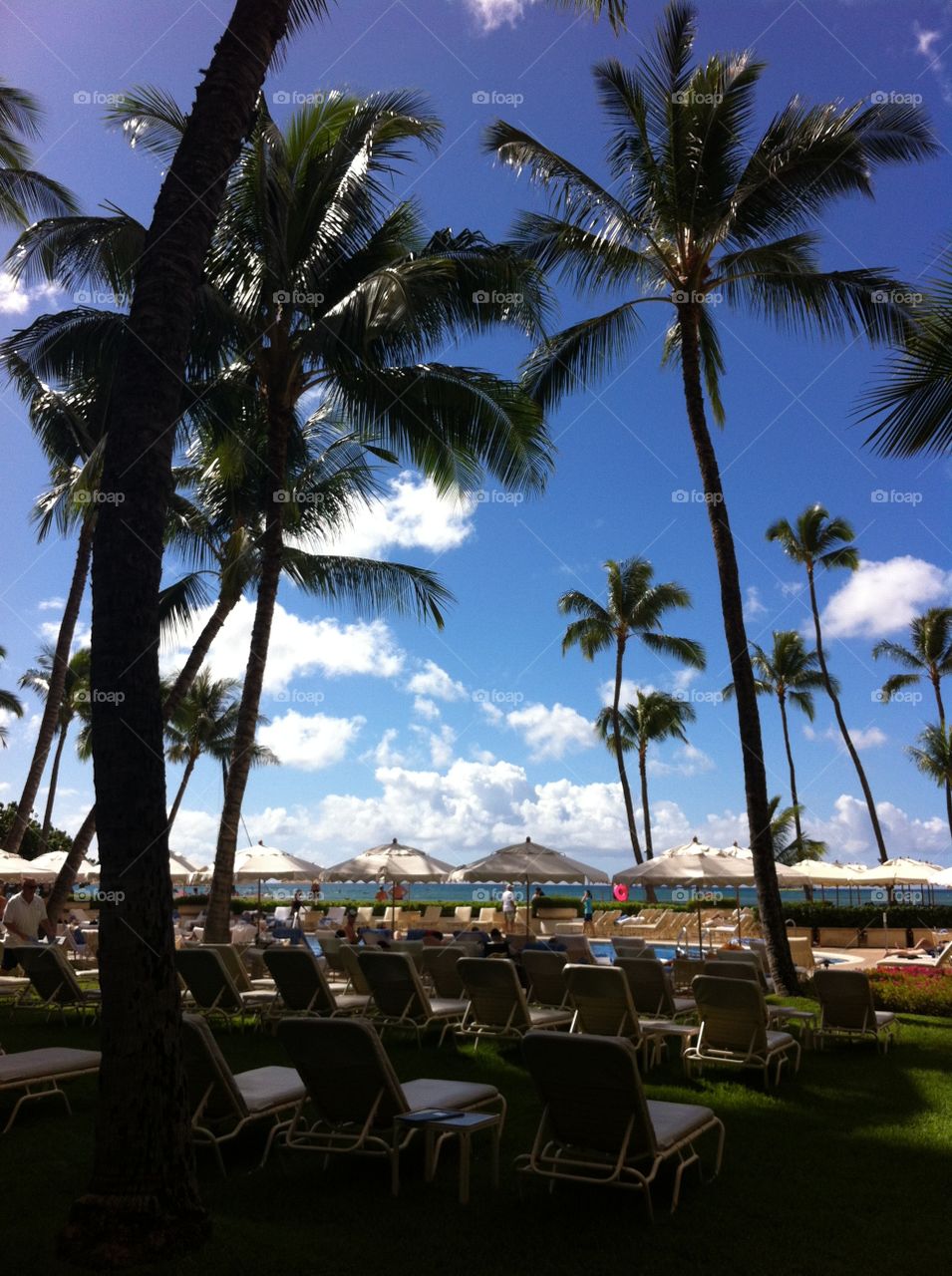 Chair, Beach, Resort, Seashore, No Person