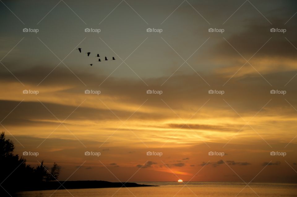 Lovely sunset with birds flew at Kota Kinabalu Sabah.