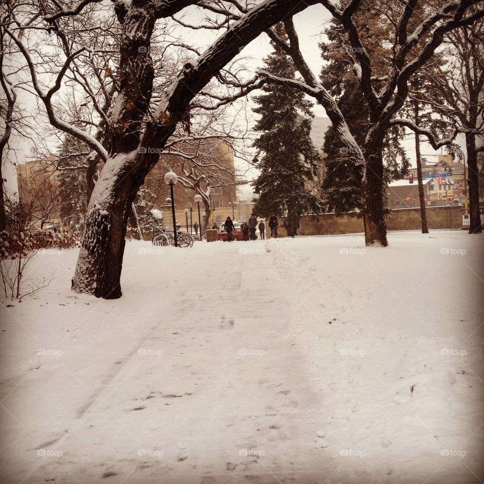 campus winter snow by annaparadies