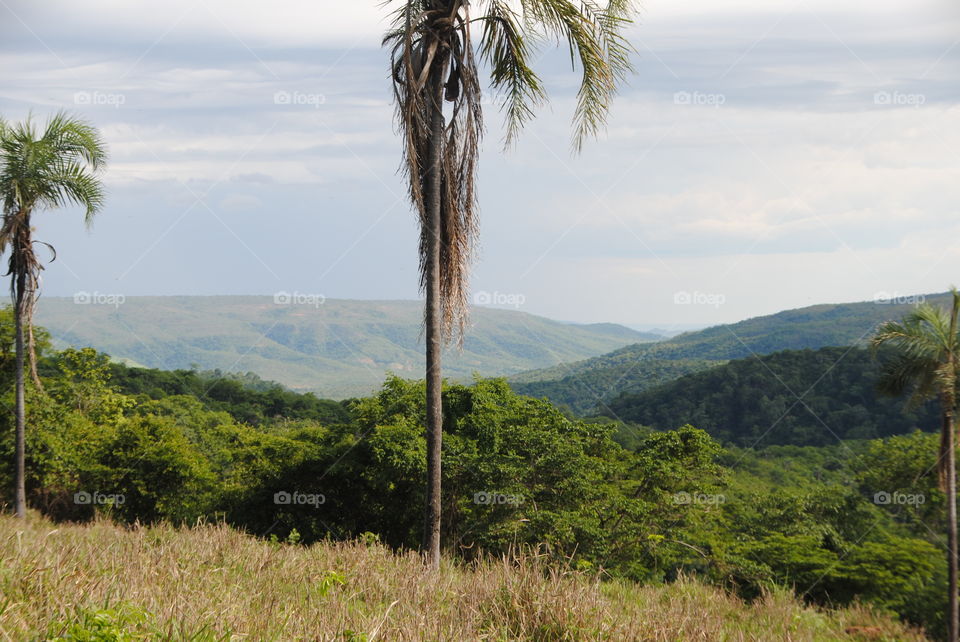 as belíssimas paisagens de Minas Gerais ou país rico