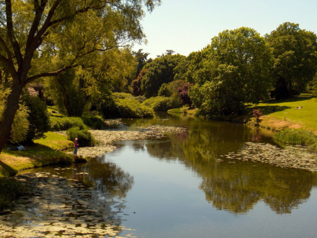 trees water lake beautiful by tommygirl-uk