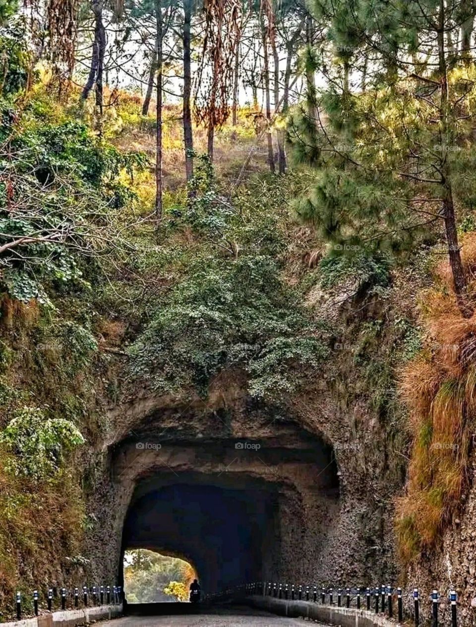 most beautiful and attractive view of the mountains. Himachal Pradesh, india.