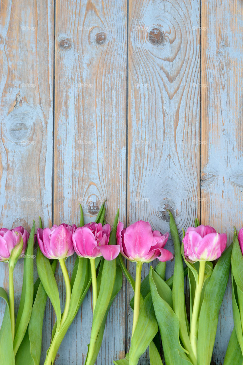 bouquet of pink spring tulips on a old wooden empty copy space background