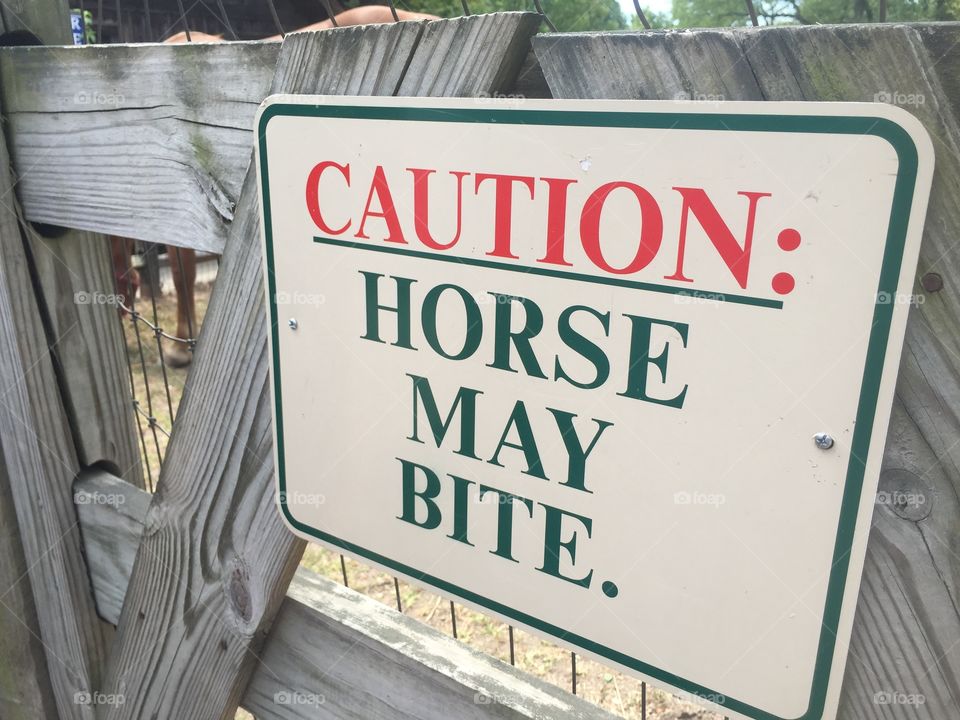 Horse may bite