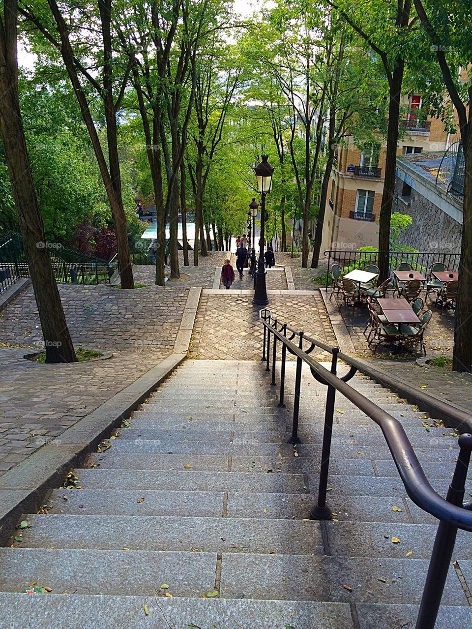 Downward view of stairs in a park