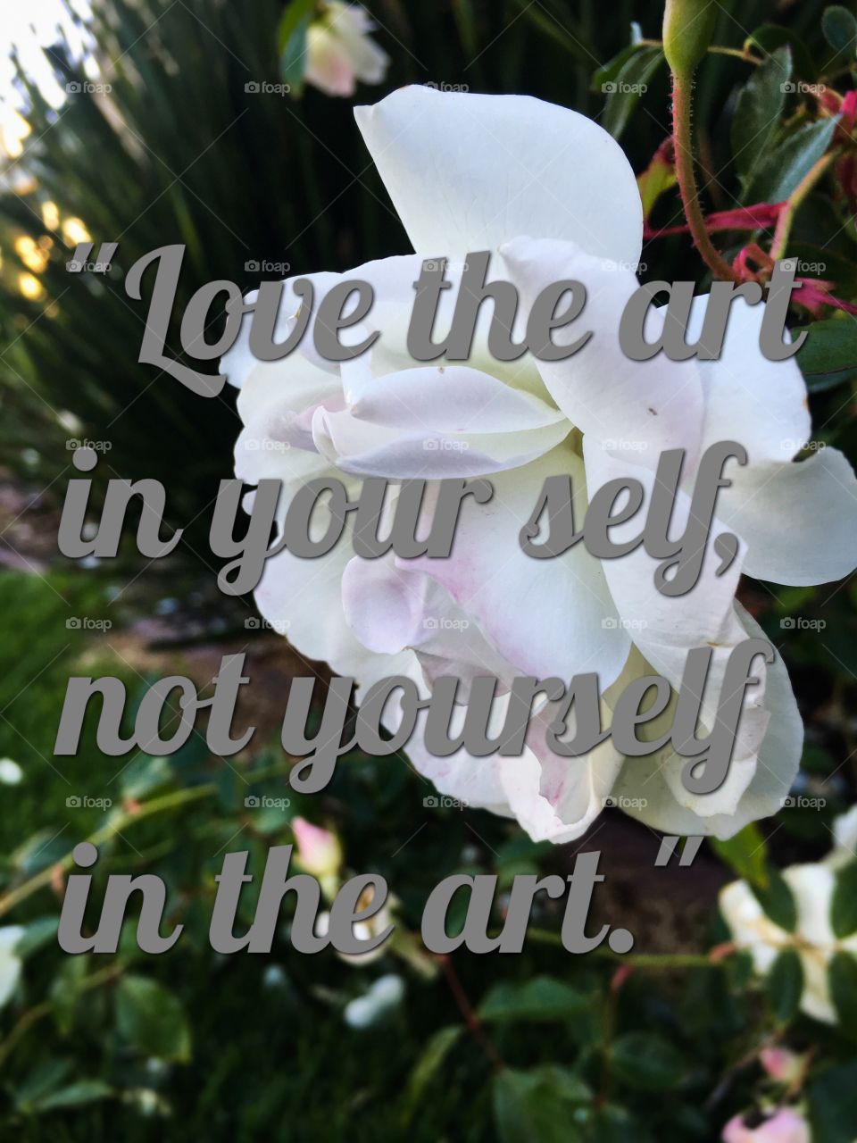 "Love yourself in the art, not the art in yourself."
