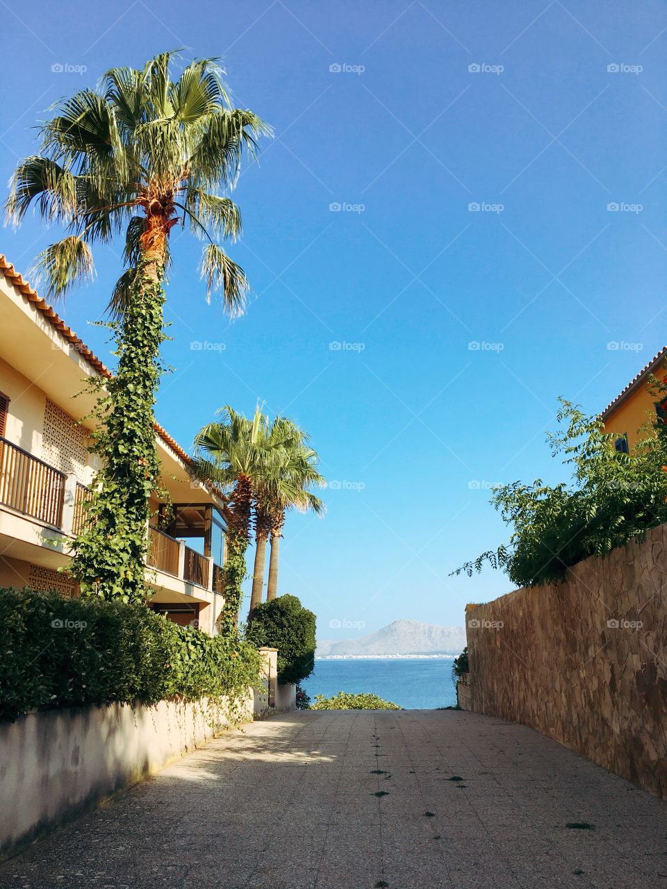 Road to the ocean surrounded by houses 