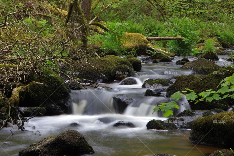 River Bovey