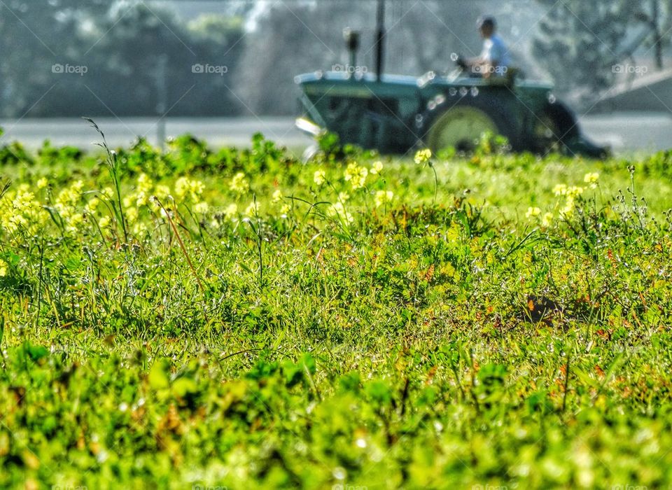 Farmer In A Field Of Wildflowers. Tractor Ploughing A Field
