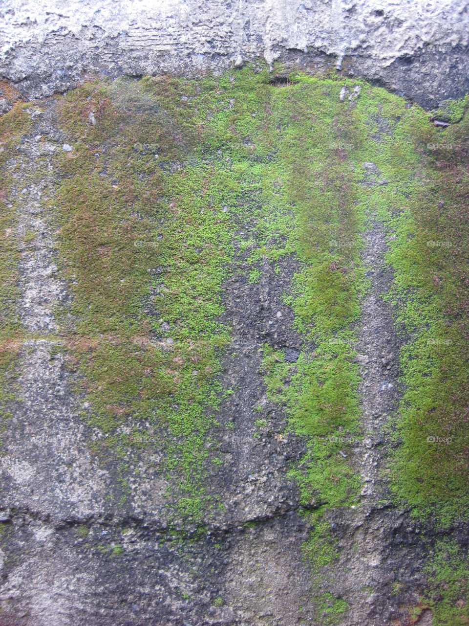 Mossy Stone