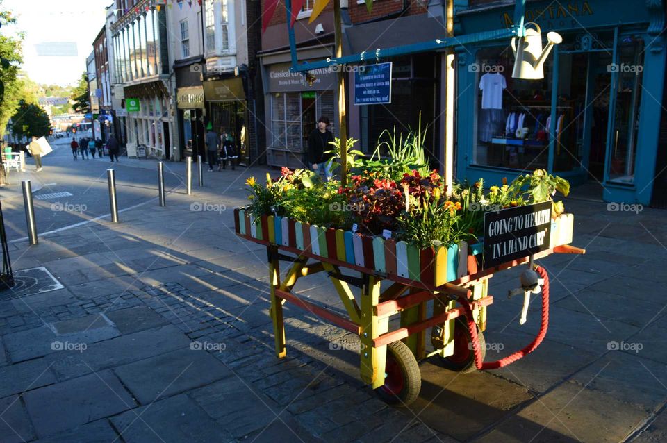 garden in city centre