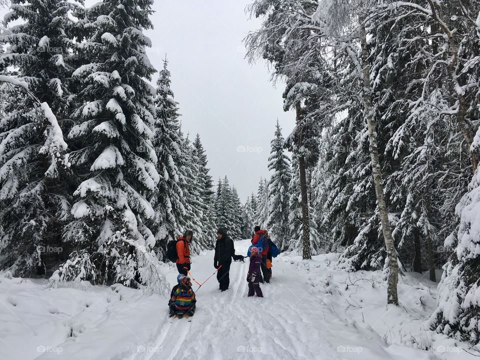 Family walk in snowy landscape 