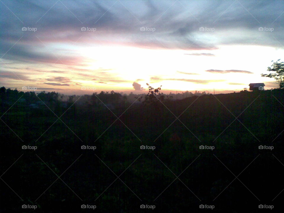 Morning at Sabung Jungle, West Borneo, Indonesian