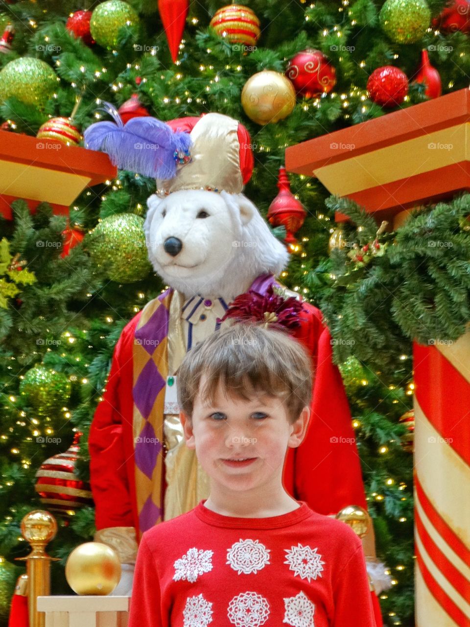 Young Boy In Christmas Scene
