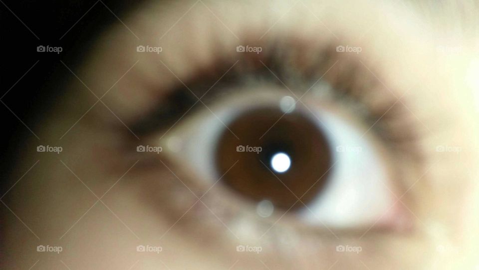 Human eye