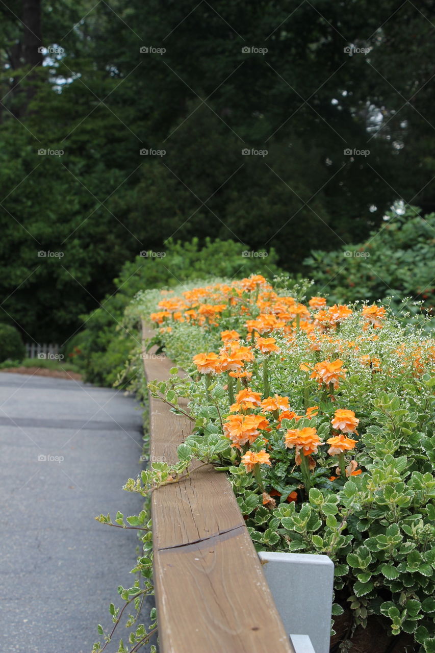 Botanical Garden, Norfolk VA