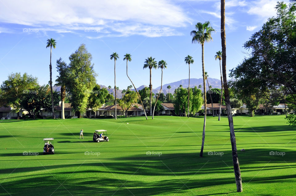 A foursome of golfers enjoy a round of golf on a beautiful day in Palm Desert California. 
