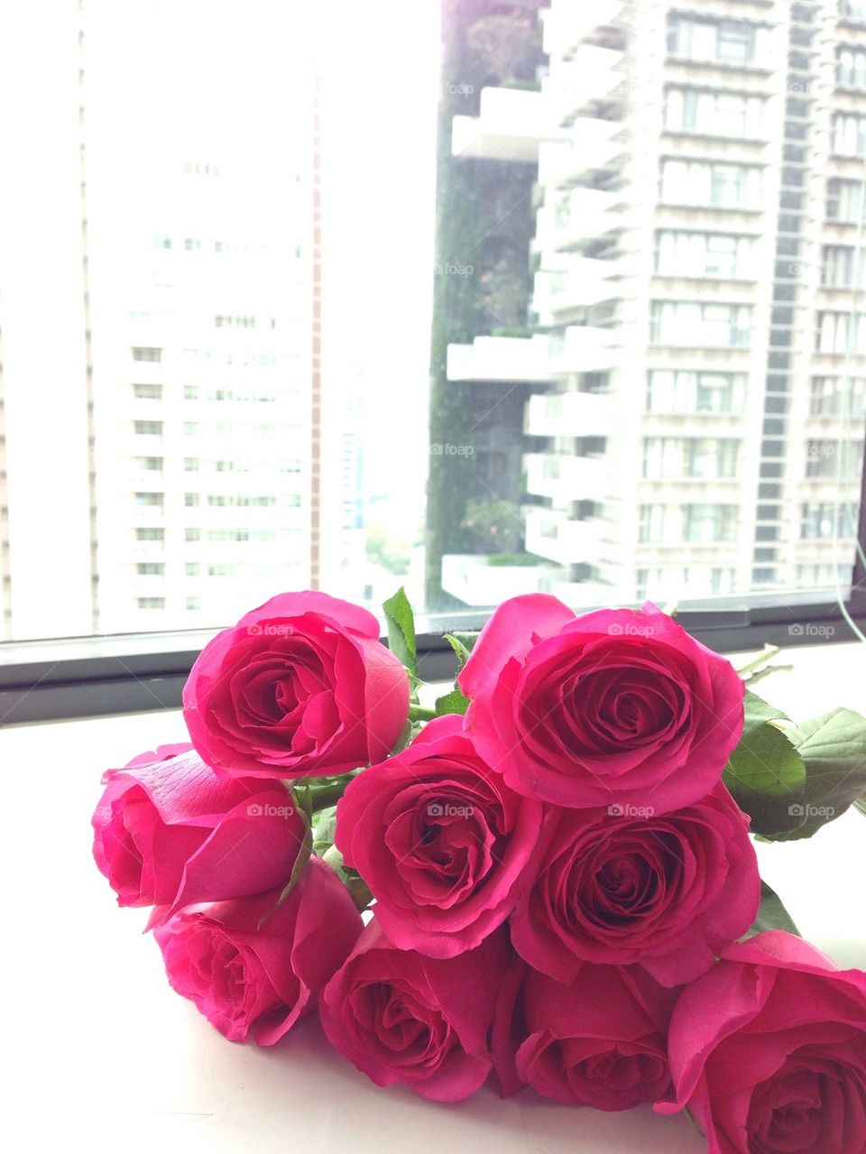 Flowers by the window