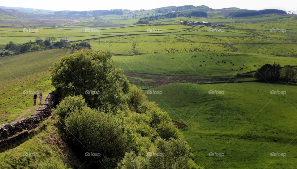 View of hadrian's wall