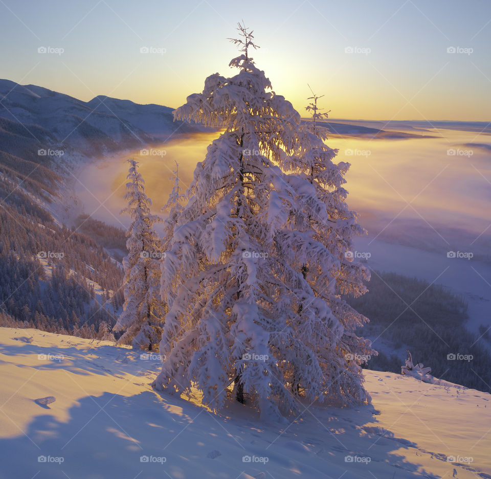 Winter in Yakutia.