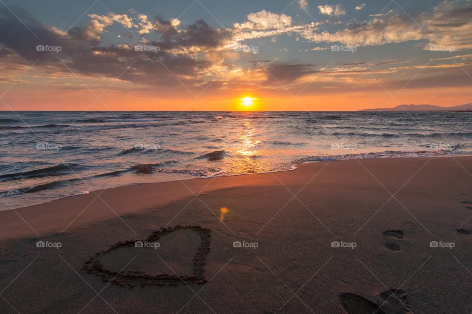 Heart