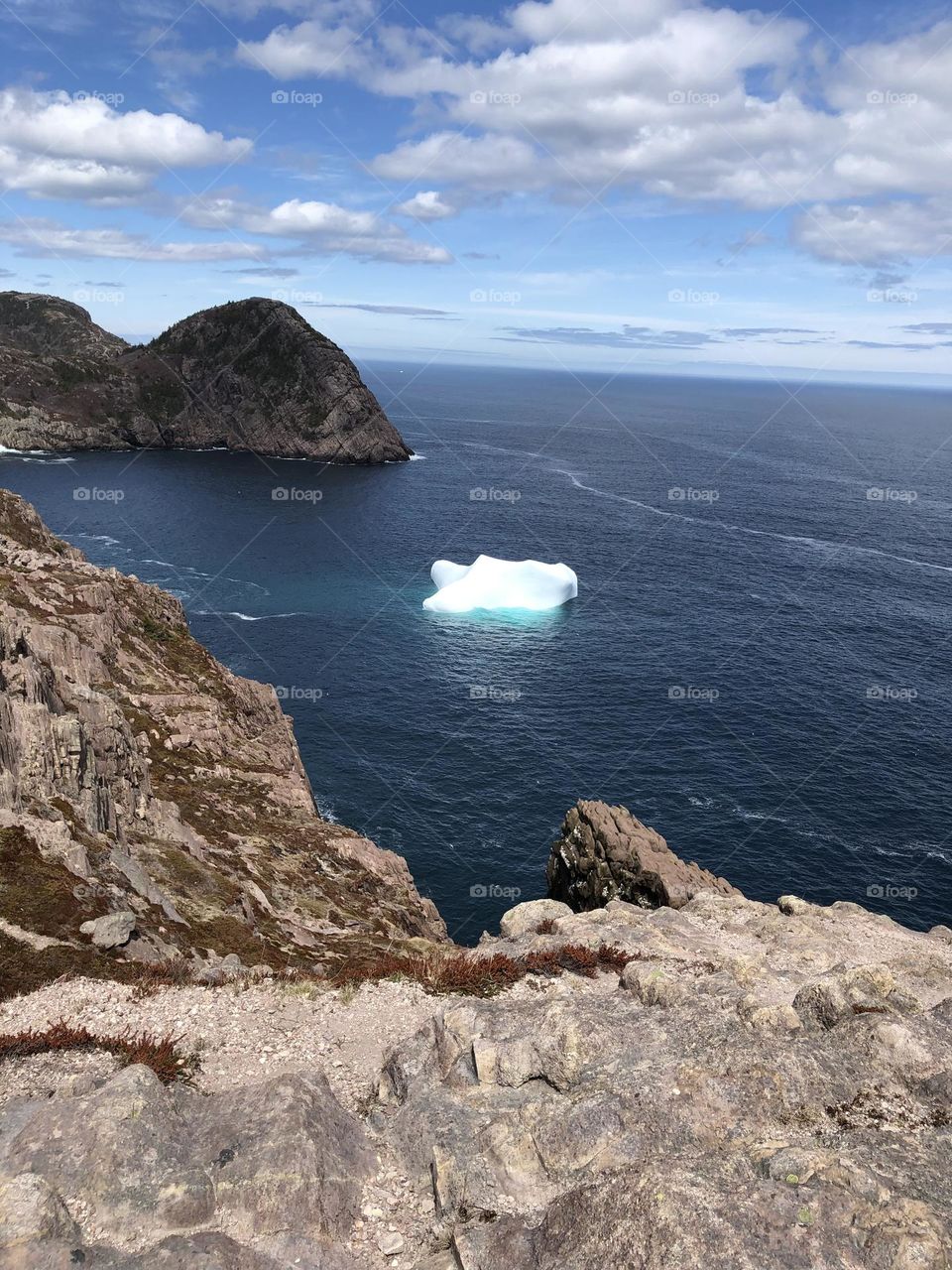 Iceberg in St. John’s, NL