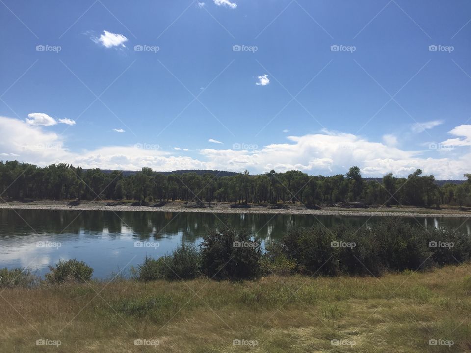 Landscape, Water, Lake, Tree, River