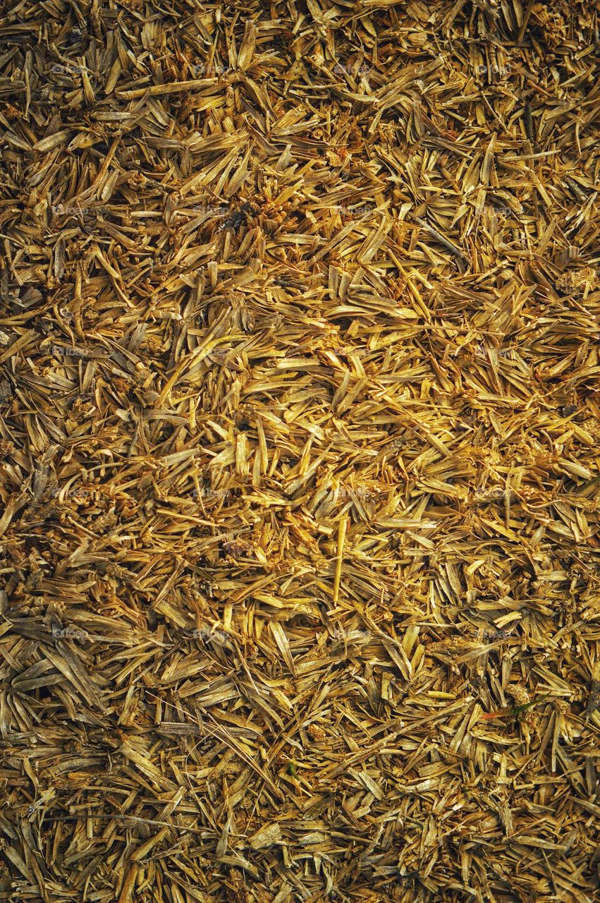 background image of the remaining last year's grass on the field