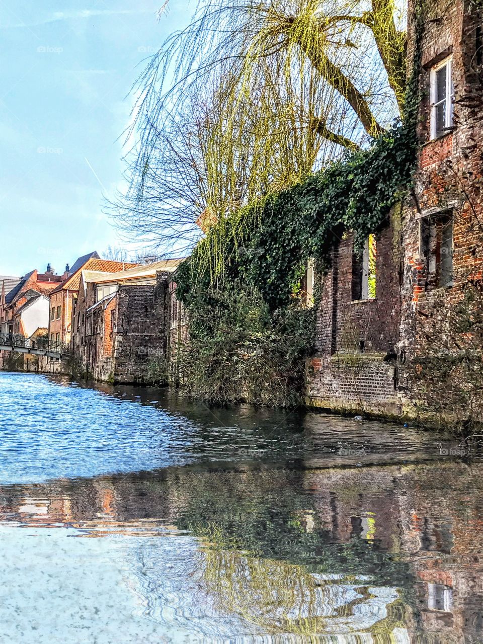 View from the river