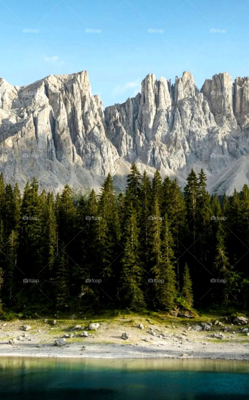 nice mountain tree and river nice view white colour mountain green tree also blue river overall nice place
