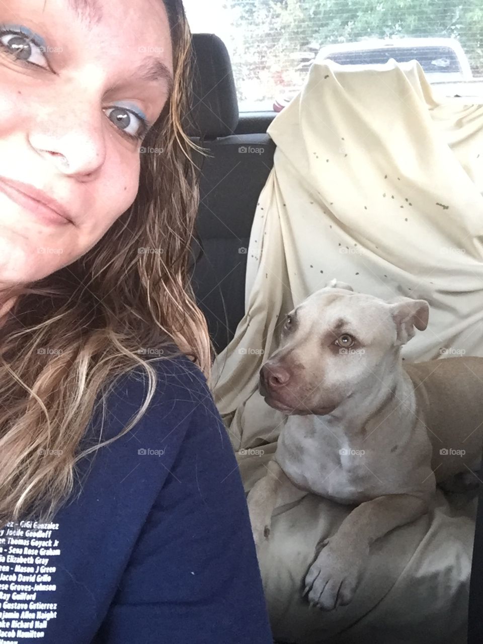 Funny face with a pit bull 