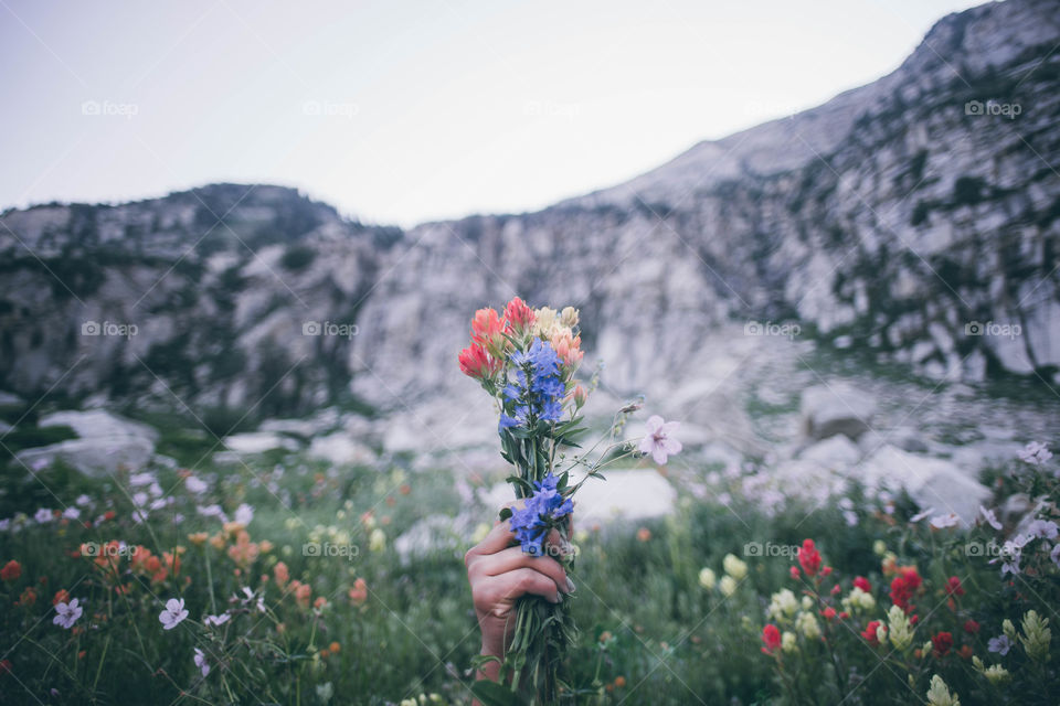 Wild flowers for wild hearts 