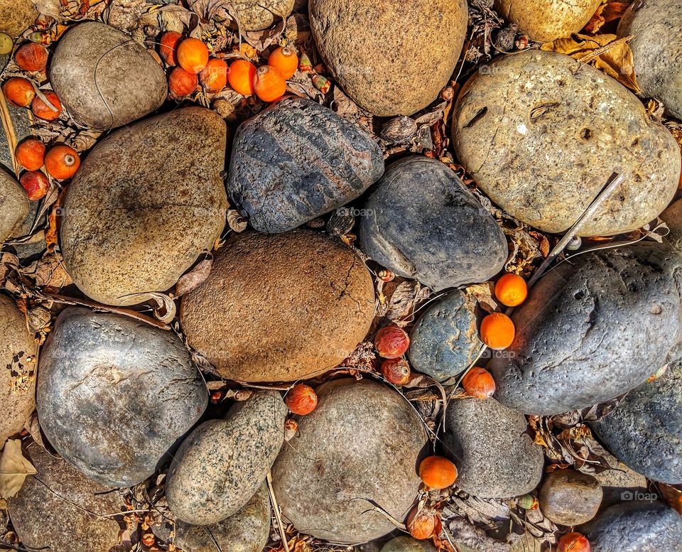 Rocks and Orange Butia Fruit