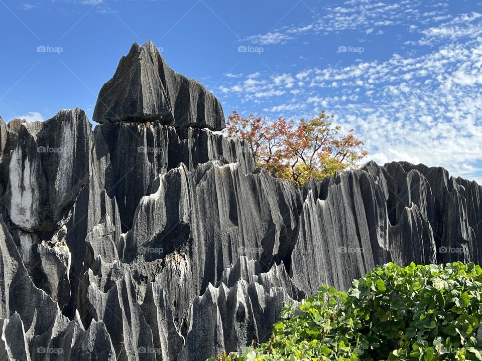 Mountain with autumn coloured tree next to a peak in stone forest in Kunming, China.