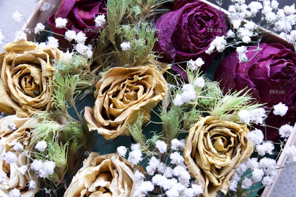 Dried roses