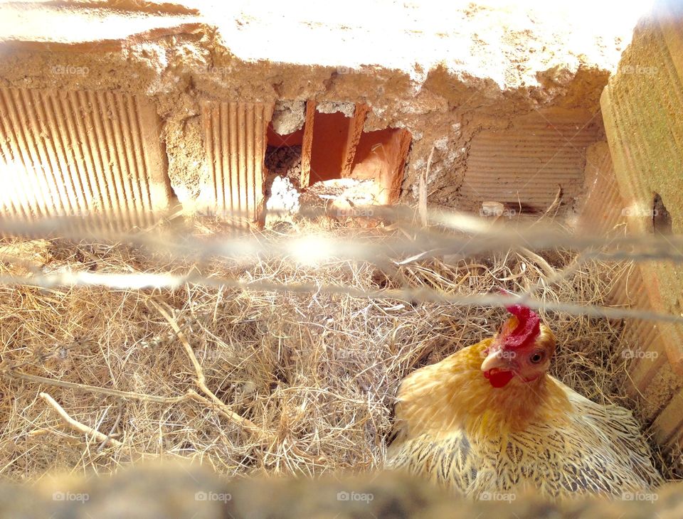 WARNING: unknown person in the area