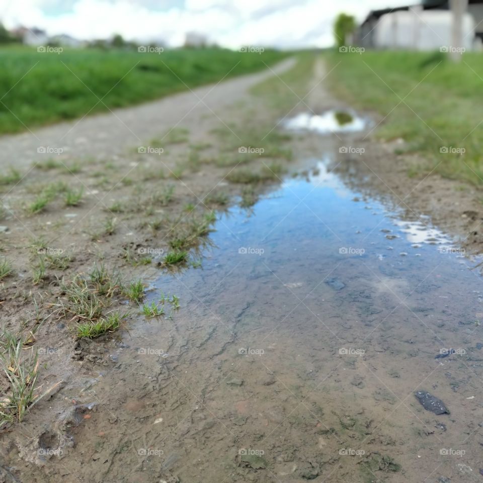 puddle