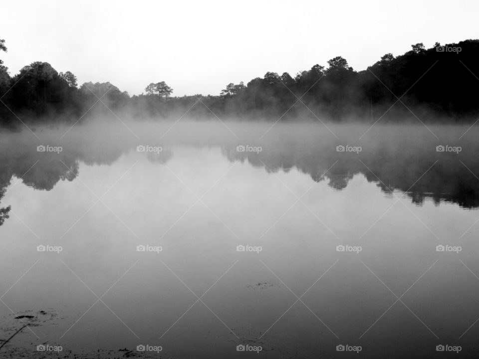 Black and white lake,fog,trees,reflection