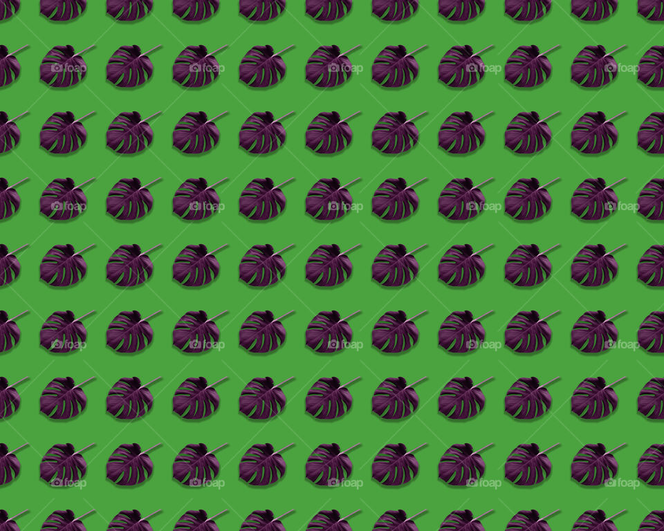 Monstera leaves seamless pattern with green background 
