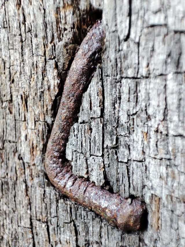 crooked nail