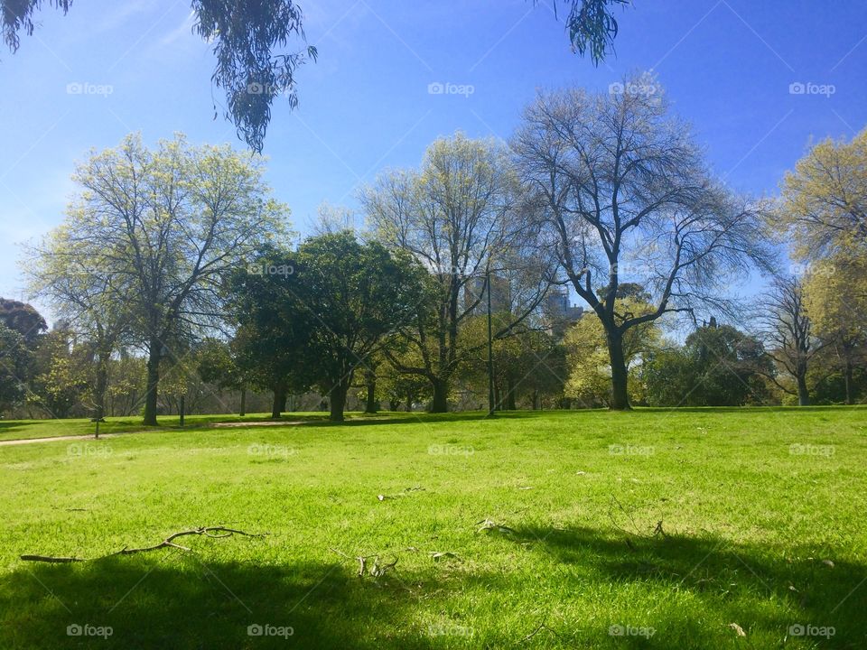 Queen Victoria Gardens 